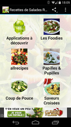 Recettes de salades régime