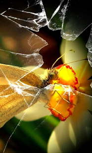 Vidro quebrado Live wall Screenshots 4