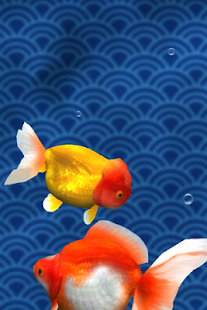 Gold Fish 3D(圖4)-速報App