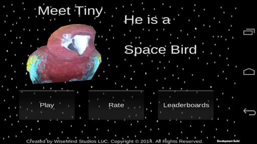 Tiny The Space Bird