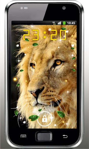 Lion African live wallpaper