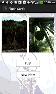 Edible and Poisonous Plants(圖3)-速報App