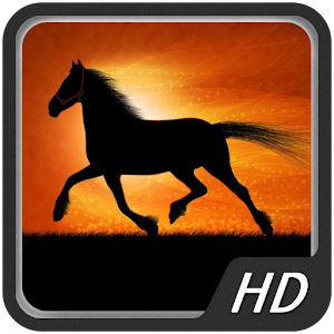 Amazing Horse Hd Wallpapers Free Android App Market