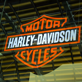 Harley's Logo by Alan Chew - Typography Words