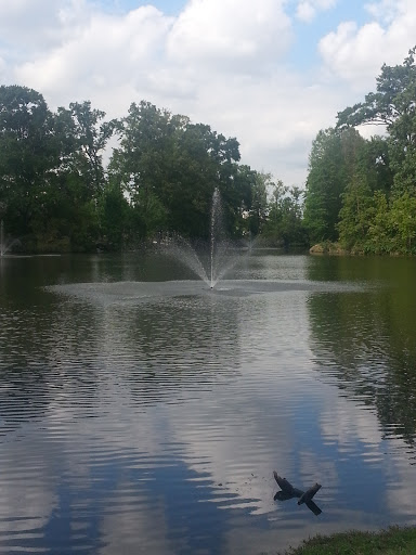 Wood Lake Fountain