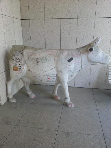 La Vache Du Flavia