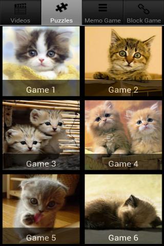Cats Run - Fun Puzzle Games