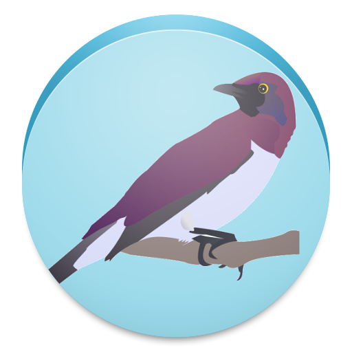 Bird Watching Blogs Free 書籍 App LOGO-APP開箱王