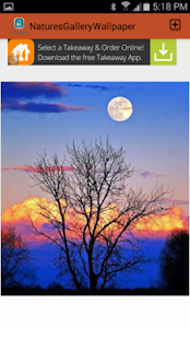 Natures Gallery Wallpaper Screenshots 2