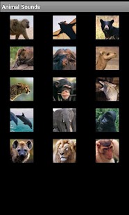 Free Animal Sounds Screenshots 0