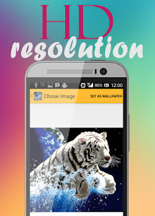 download Tiger Wallpaper free