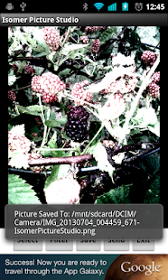 Isomer Picture Studio(圖8)-速報App