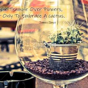 Cactus  by Luana Racan - Typography Quotes & Sentences