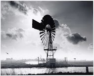 Molen in de Kalverpolder