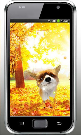 Autumn Fox Free live wallpaper