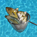 Eco Fishing – Pesca ecológica logo