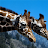 Giraffe Jigsaw Puzzle APK - Windows 용 다운로드