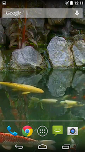Koi Pond Video Live Wallpaper(圖4)-速報App