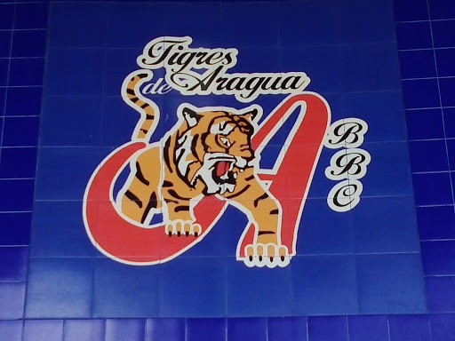 Mural Tigres De Aragua
