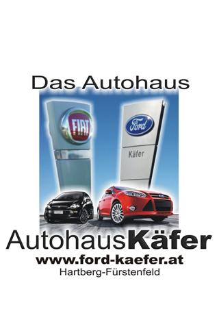 Auto Käfer