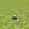 Golf Sim RB
