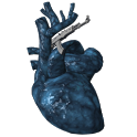 Fallout 3 Guns icon