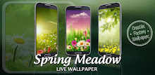 Spring Meadow Live Wallpaper APK