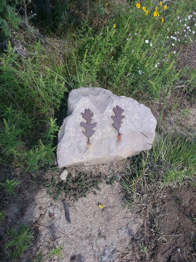Leaf Rock Art