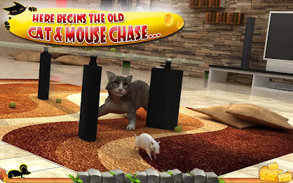 Crazy Cat vs. Mouse 3D poster 9