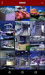 riff riff ceramic system poster 2