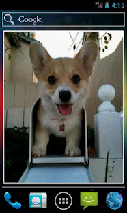 aww: reddit pictures widget(圖3)-速報App