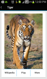 Animal Sound & Photos for Kids poster 4