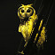 Striped Owl (Lechuzón orejudo)
