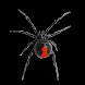 Arachnophobia Live Wallpaper