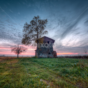 Musile Di Piave - Old House - Yellow And Green Grass by Fa Ve - Landscapes Prairies, Meadows & Fields