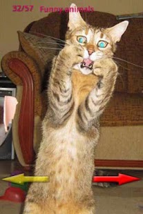 How to download Funny Pictures Mix patch 1.1 apk for laptop