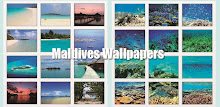 Maldives Wallpaper by Catfantom APK