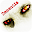 Dementia Lite Download on Windows