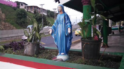 Virgen De La Roosevelt