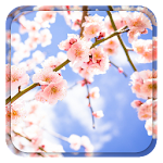 Cover Image of Download Sakura Live Wallpaper 1.3.0 APK
