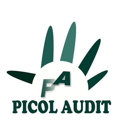 【免費商業App】PICOL AUDIT-APP點子