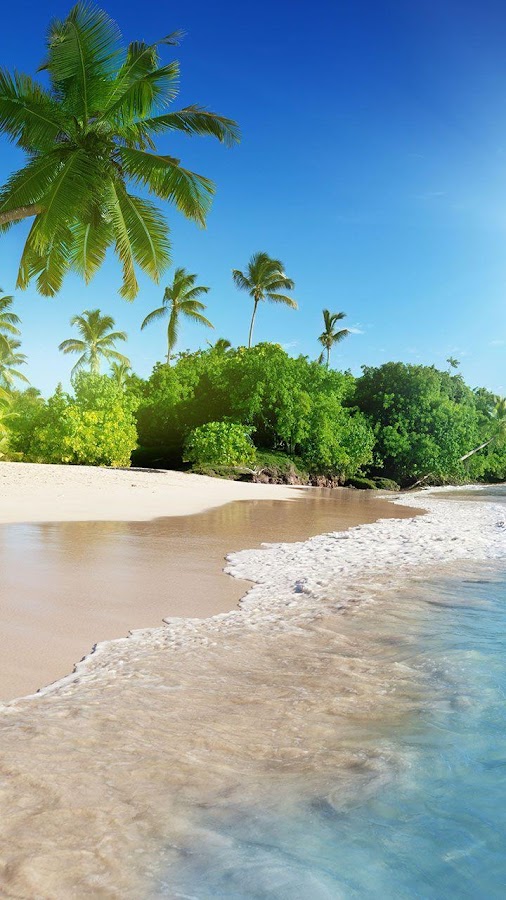 Beach Wallpaper Portrait CVJBDRW