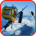 Ace Catch: Fishing icon
