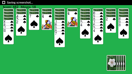 Pro Spider Solitaire free poster 5