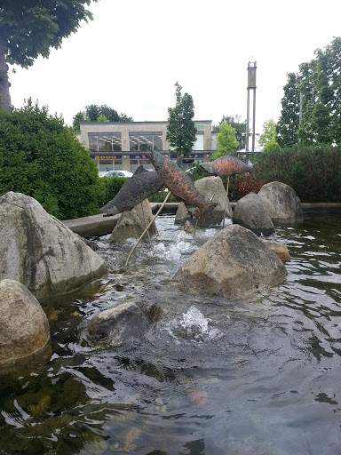Salmon Water Feature