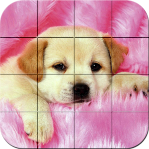 Download Puzzle - Puppies Apk Download