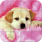 astuce Puzzle - Puppies jeux