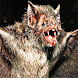 Bat Sound Effects