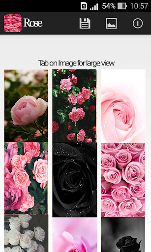 【免費個人化App】玫瑰壁紙-APP點子