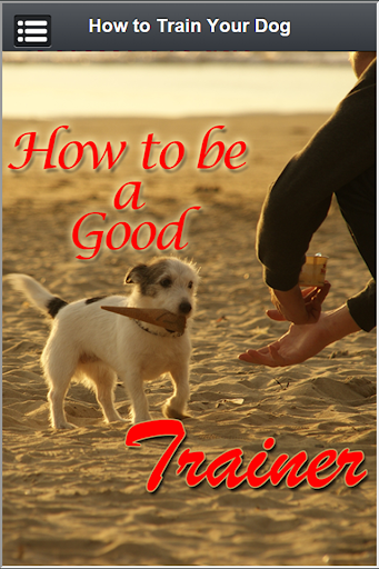 Dog Training Guide